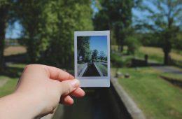 Polaroid photo trees suburbs brexit vote
